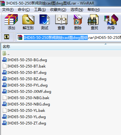 IHD65-50-250泵閥測繪cad圖dwg圖紙